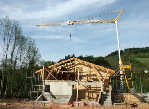 Grue - POTAIN IGO 15 - 22 mètres